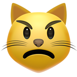 Кот в гневе