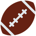 🏈