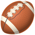🏈