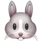 Морда кролика (Голова кролика)