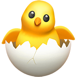 Цыпленок в яйце (Вылупленный цыплёнок)