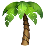 Пальма (Пальмовое дерево)