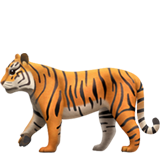 Тигр (Голова тигра)