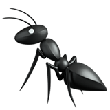 Муравей (Голова муравья)