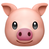 Морда свиньи (Голова свиньи)