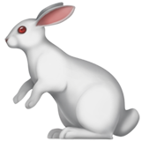 Кролик (Заяц)