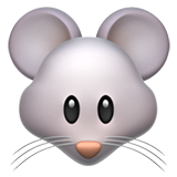 Морда мыши (Голова мыши)