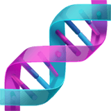 ДНК (Двойная спираль ДНК)