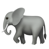 Слон (Голова слона)