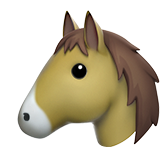 Морда лошади (Голова коня)