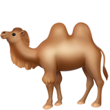 Двугорбый верблюд (Голова верблюда)